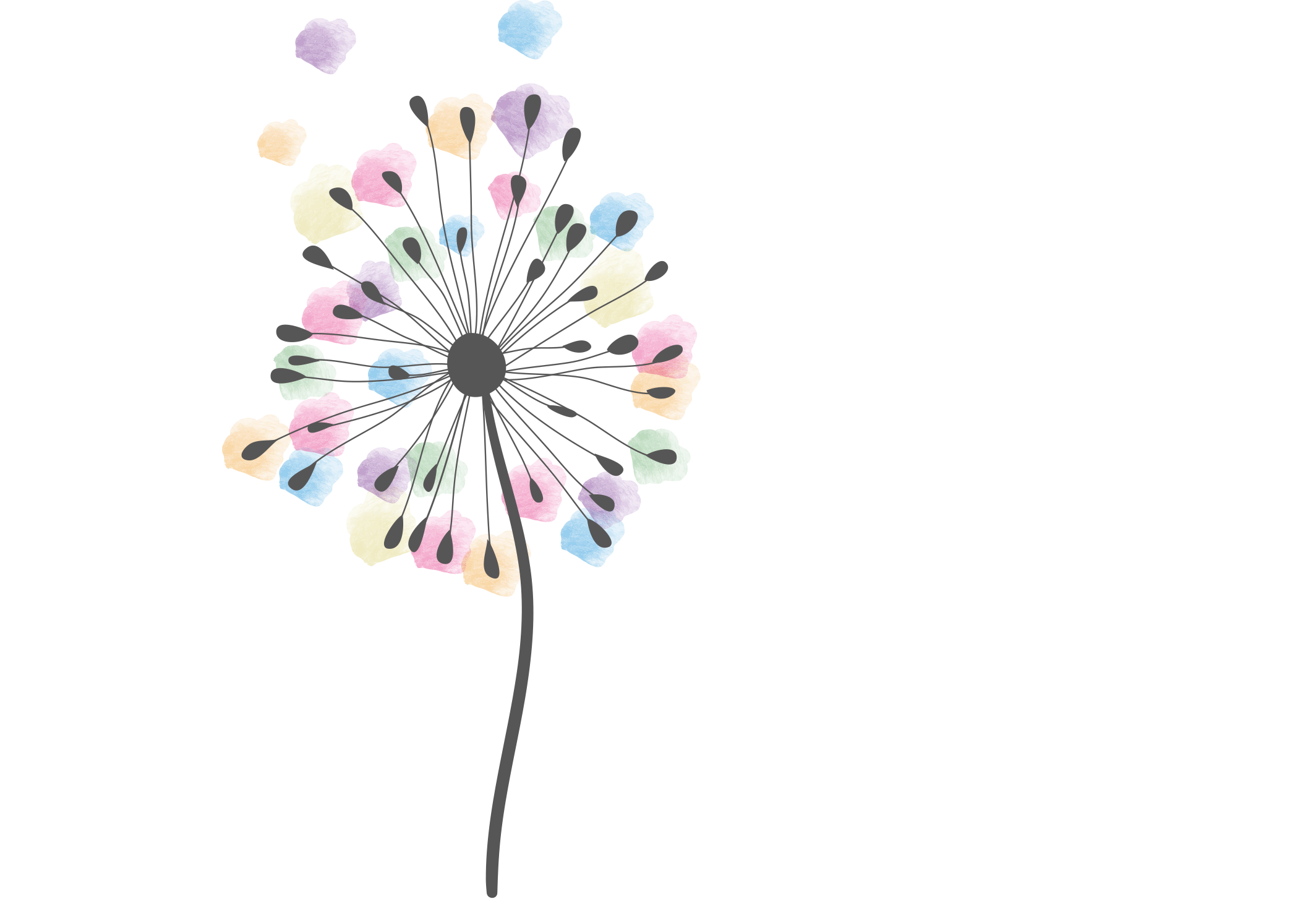 Karen Schullcke